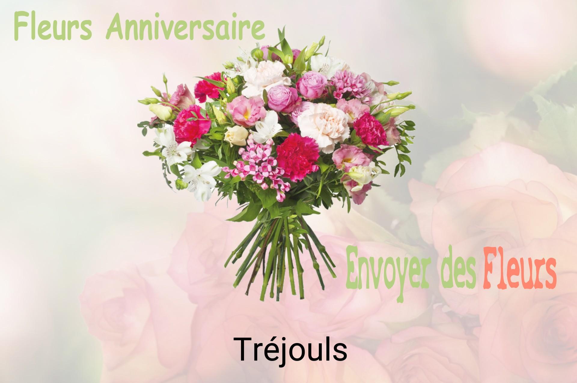 Bouquet de fleurs d’anniversaire livré à Tréjouls