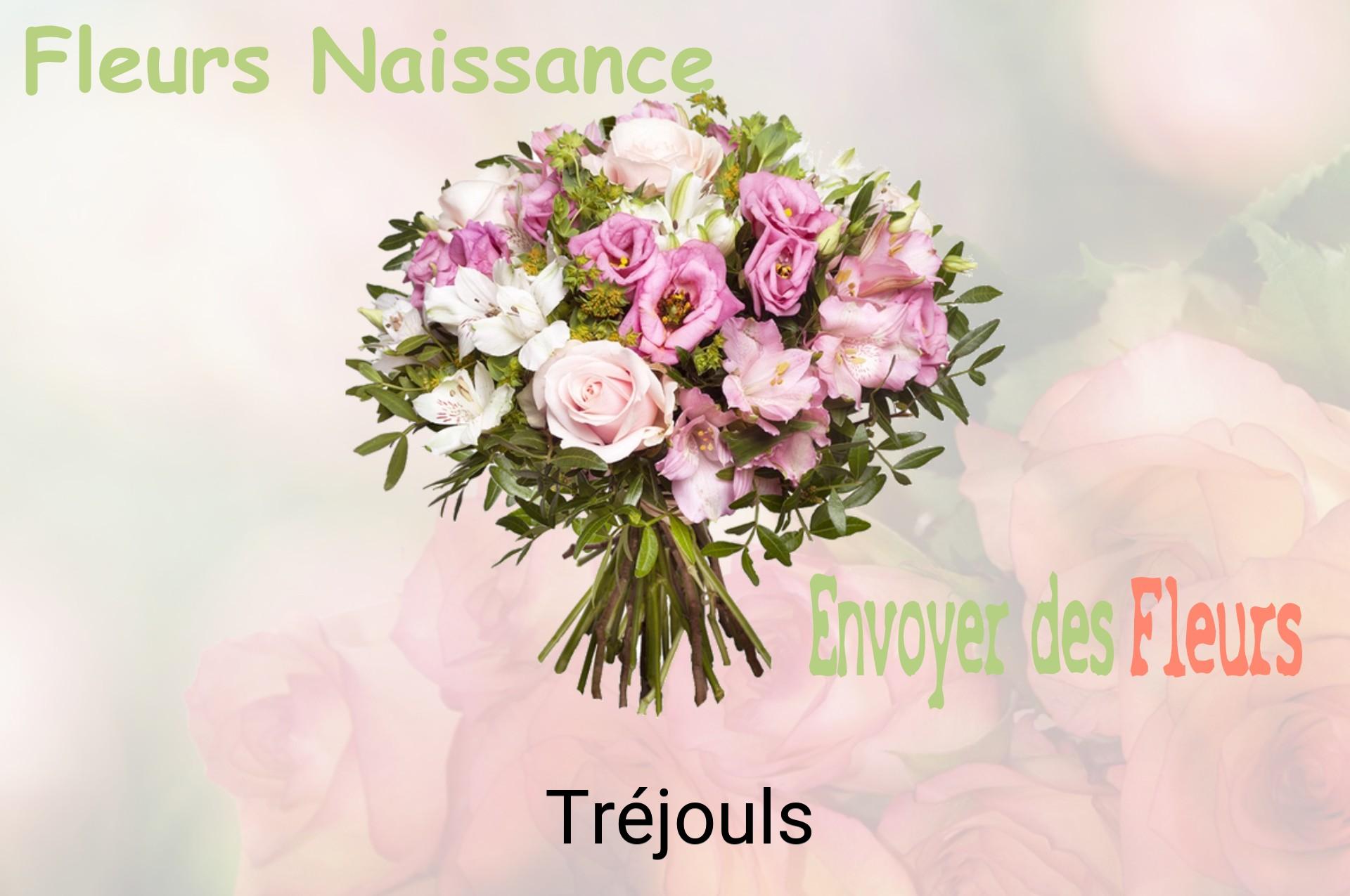 Bouquet de fleurs de naissance livré à Tréjouls