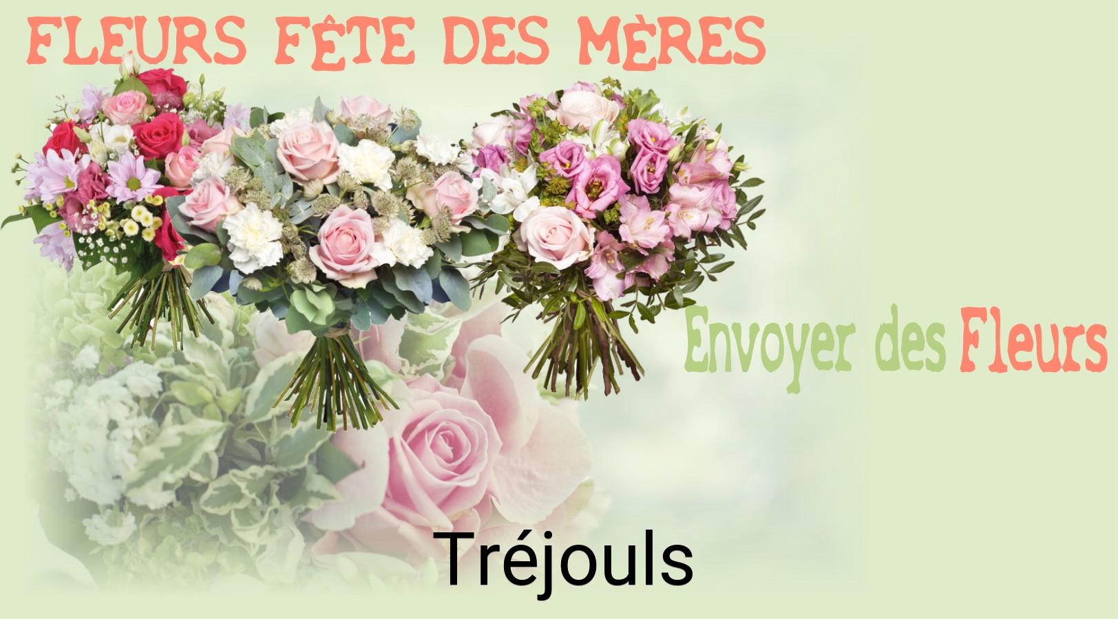 Bouquet de Fête des Mères livré à Tréjouls